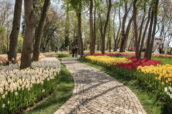 Traditioneel Tulpenfestival Emirgan Park Een Historisch Stadspark Lente Vakantie Achtergrond Rechtenvrije Stockafbeeldingen