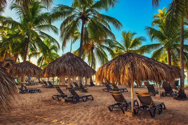 도미니카 공화국에 아름다운 해변입니다 야자수와 이있는 풍경이다 문서를 가지고 이동하 로열티 프리 스톡 사진