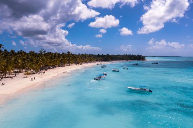 Saona adasındaki güzel Karayip plajı, Dominik Cumhuriyeti. Yeşil palmiye ağaçları, deniz kıyıları ve beyaz kumla tropikal cennet manzarası