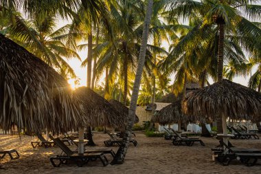 Dominik Cumhuriyeti 'ndeki güzel Karayip plajı. Palmiye ağaçları ve saman kulübeleriyle tropik cennet yaz manzarası. Kopyalama uzayı ile seyahat et. Tatil gevşeme kavramı