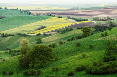 Yeşil tarlaları ve ağaçları olan kırsal alan, Güney Moravya, Çek Cumhuriyeti