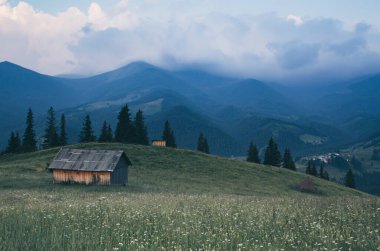 Karpat Dağları yaz manzarası bulutlu gökyüzü ve ev, doğal yaz yolculuğu arka planı.