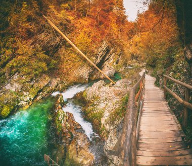 Meşhur Vintgar Vadisi Ağaç Yolu, Bled, Ulusal Park Triglav, Slovenya, Avrupa sonbaharda