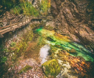 Meşhur Vintgar Vadisi Ağaç Yolu, Bled, Ulusal Park Triglav, Slovenya, Avrupa sonbaharda