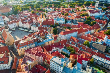 Tallinn Eski Kasabası 'nın havadan görünüşü. Estonya 'nın başkentinin merkezine yukarıdan bak. Seyahat hedefi kavramı