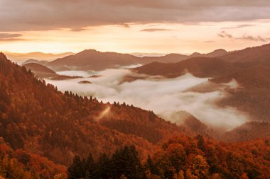 Sisli sisli dağ manzarası. Kopyalama alanı eski moda hipster tarzında. Slovenya 'da sonbahar mevsimi, güneşli gün doğumu