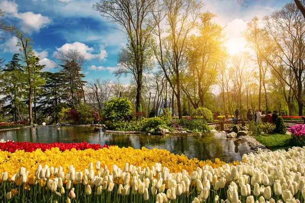 Emirgan Parkı 'nda geleneksel Lale Festivali. İlkbaharda tarihi bir şehir parkı.