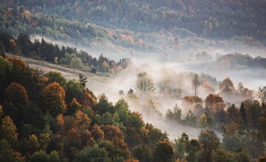 Puslu sonbahar sisli dağ manzarası köknar ormanı ve eski moda hipster tarzında telif alanı mevsimsel sonbahar arka planı