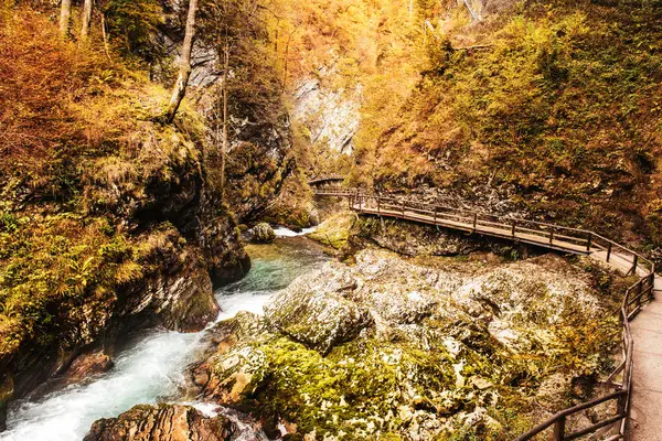 Meşhur Vintgar Vadisi Ağaç Yolu, Bled, Ulusal Park Triglav, Slovenya, Avrupa sonbaharda