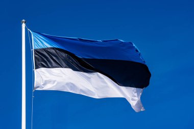 Mavi gökyüzü, soyut vatanseverlik arka plan sallayarak üzerinde Estonya bayrağı