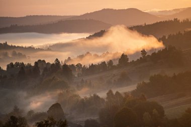 Dağlık arazili sisli sabah manzarası ve sisli orman, şaşırtıcı sonbahar gündoğumu. Karpat Dağları, Ukrayna