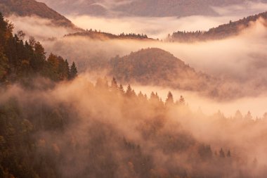 Sisli sisli dağ manzarası. Kopyalama alanı eski moda hipster tarzında. Slovenya 'da sonbahar mevsimi, güneşli gün doğumu