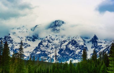 Kışın Polonya 'da Morskie Oko Gölü yakınlarındaki dağ zirveleri. Doğal mevsimlik arka plan, Avrupa Tatraları. Köknar ormanıyla puslu manzara