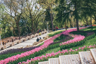 İlkbaharda tarihi bir şehir parkı olan Emirgan Parkı 'nda geleneksel Lale Festivali