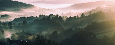 Dağlık arazili sisli sabah manzarası ve sisli orman, şaşırtıcı sonbahar gündoğumu. Karpat Dağları, Ukrayna. Panoramik görünüm