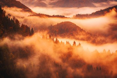 Sisli sisli dağ manzarası. Kopyalama alanı eski moda hipster tarzında. Slovenya 'da sonbahar mevsimi, güneşli gün doğumu