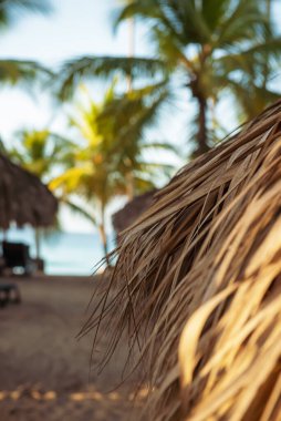 Dominik Cumhuriyeti 'ndeki güzel Karayip plajı. Tropik cennet gibi, palmiye ağaçları ve saman kulübesi olan bir yaz manzarası. Kopyalama uzayı ile seyahat et. Tatil gevşeme kavramı