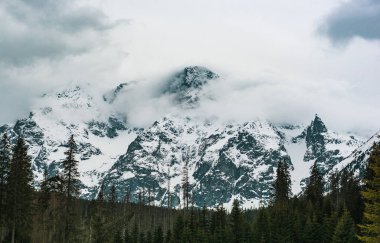 Kışın Polonya 'da Morskie Oko Gölü yakınlarındaki dağ zirveleri. Doğal mevsimlik arka plan, Avrupa Tatraları. Köknar ormanıyla puslu manzara