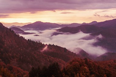 Sisli sisli dağ manzarası. Kopyalama alanı eski moda hipster tarzında. Slovenya 'da sonbahar mevsimi, güneşli gün doğumu