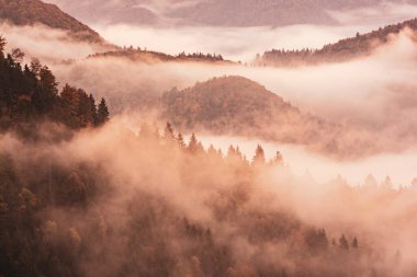 Sisli sisli dağ manzarası. Kopyalama alanı eski moda hipster tarzında. Slovenya 'da sonbahar mevsimi, güneşli gün doğumu