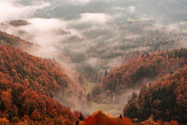 Sisli sisli dağ manzarası. Kopyalama alanı eski moda hipster tarzında. Slovenya 'da sonbahar mevsimi, güneşli gün doğumu