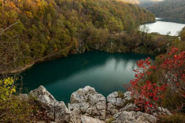 Hırvatistan 'da sonbahar renkleri ve Plitvice Milli Parkı gölü, mevsimlik renkli arka plan, seyahat merkezleri