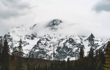Kışın Polonya 'da Morskie Oko Gölü yakınlarındaki dağ zirveleri. Doğal mevsimlik arka plan, Avrupa Tatraları. Köknar ormanıyla puslu manzara
