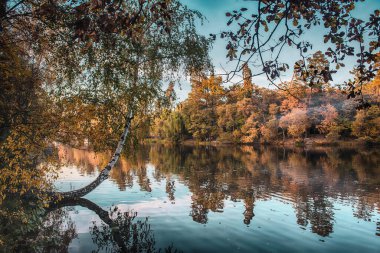 View of the lake with autumn yellow and green trees and blue sky, natural seasonal background clipart