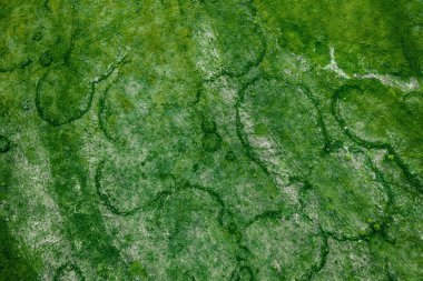 Yukarıdan görülen garip izleri olan yeşil alanlar. İnsansız hava aracının doğal soyut yaz mevsimsel arka planı.