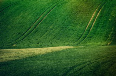 Arkaplan ya da duvar kağıtları için uygun tarlaları olan yuvarlanan tepeler, doğal mevsimlik manzaralar. Güney Moravya, Çek Cumhuriyeti
