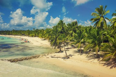 Saona adasındaki güzel Karayip plajı, Dominik Cumhuriyeti. Yeşil palmiye ağaçları, deniz kıyıları ve beyaz kumla tropikal cennet manzarası