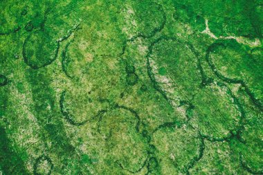 Yukarıdan görülen garip izleri olan yeşil alanlar. İnsansız hava aracının doğal soyut yaz mevsimsel arka planı.
