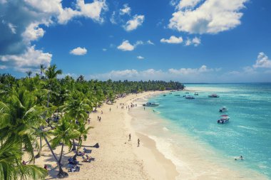 Saona adasındaki güzel Karayip plajı, Dominik Cumhuriyeti. Yeşil palmiye ağaçları, deniz kıyıları ve beyaz kumla tropikal cennet manzarası