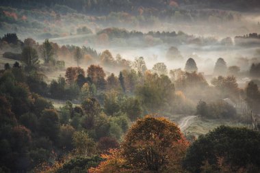 Puslu sonbahar sisli dağ manzarası köknar ormanı ve eski moda hipster tarzında telif alanı mevsimsel sonbahar arka planı