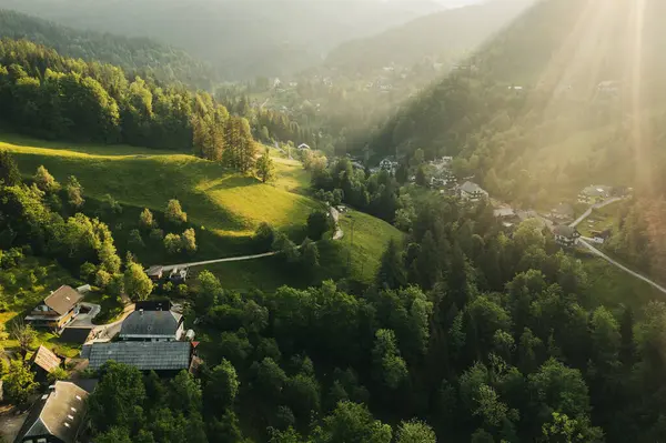 Gün doğumunda Slovenya 'daki huzurlu dağ köyü. Yumuşak sabah ışığı, yuvarlanan tepeler ve görkemli tepelerle çevrili geleneksel dağlık evleri yıkıyor. Sakin ve huzurlu bir manzara sakin bir atmosfer, doğa, seyahat ve kırsal konular için ideal..