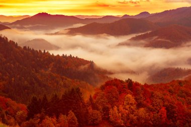 Sisli sisli dağ manzarası. Kopyalama alanı eski moda hipster tarzında. Slovenya 'da sonbahar mevsimi, güneşli gün doğumu