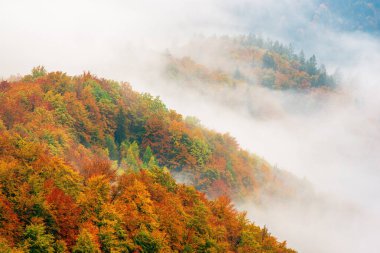 Sisli sisli dağ manzarası. Kopyalama alanı eski moda hipster tarzında. Slovenya 'da sonbahar mevsimi, güneşli gün doğumu