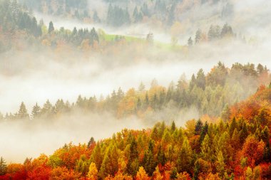 Sisli sisli dağ manzarası. Kopyalama alanı eski moda hipster tarzında. Slovenya 'da sonbahar mevsimi, güneşli gün doğumu