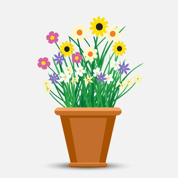 Las Flores Crecen Maceta Con Sombra Sobre Fondo Claro Planta — Vector de stock