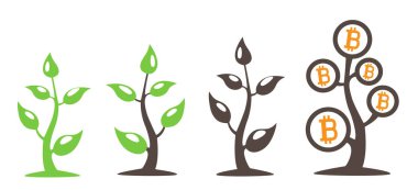 Bitkilerden bitkilere kadar büyüyen madencilik süreci beyaz arka planda izole edildi. Yeşil yapraklı ve bitcoin 'li para ağacı. Finansal ticaret başarısı büyüme konsepti çizimi