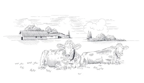 Zuivelboerderij Landelijk Landschap Met Koeien Een Weiland Handgetekende Vectorillustratie — Stockvector