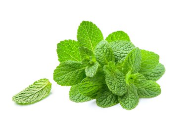 Beyaz arka planda nane yaprakları