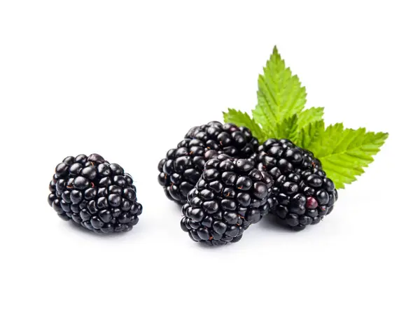 Blackberry Mit Blättern Auf Weißem Hintergrund lizenzfreie Stockfotos