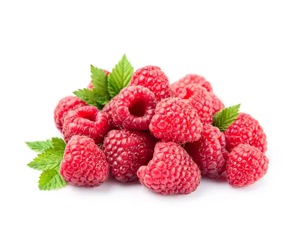 Raspberry Leaves White Backgrounds Stock Image