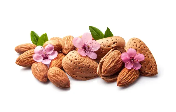 Almonds Nuts Flowers White Backgrounds Royalty Free Stock Images