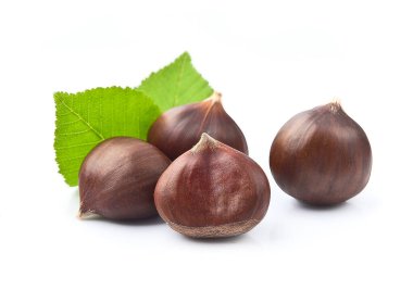 Beyaz arka planda yaprakları olan kestaneler