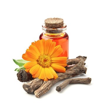 Takvim takviyesi ve beyaz arka planda çiçekli takvim kökü