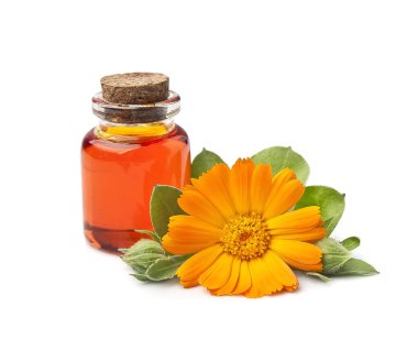 Calendula yağı beyaz arka planda çiçek açar