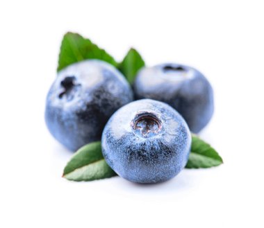 Beyaz arka planda yaprakları olan yabanmersini.