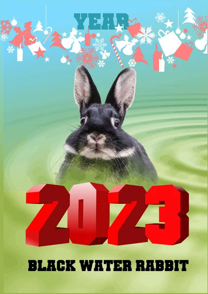 Feliz Año Nuevo Chino Tarjeta Felicitación Conejo Agua Negra Ilustración — Archivo Imágenes Vectoriales